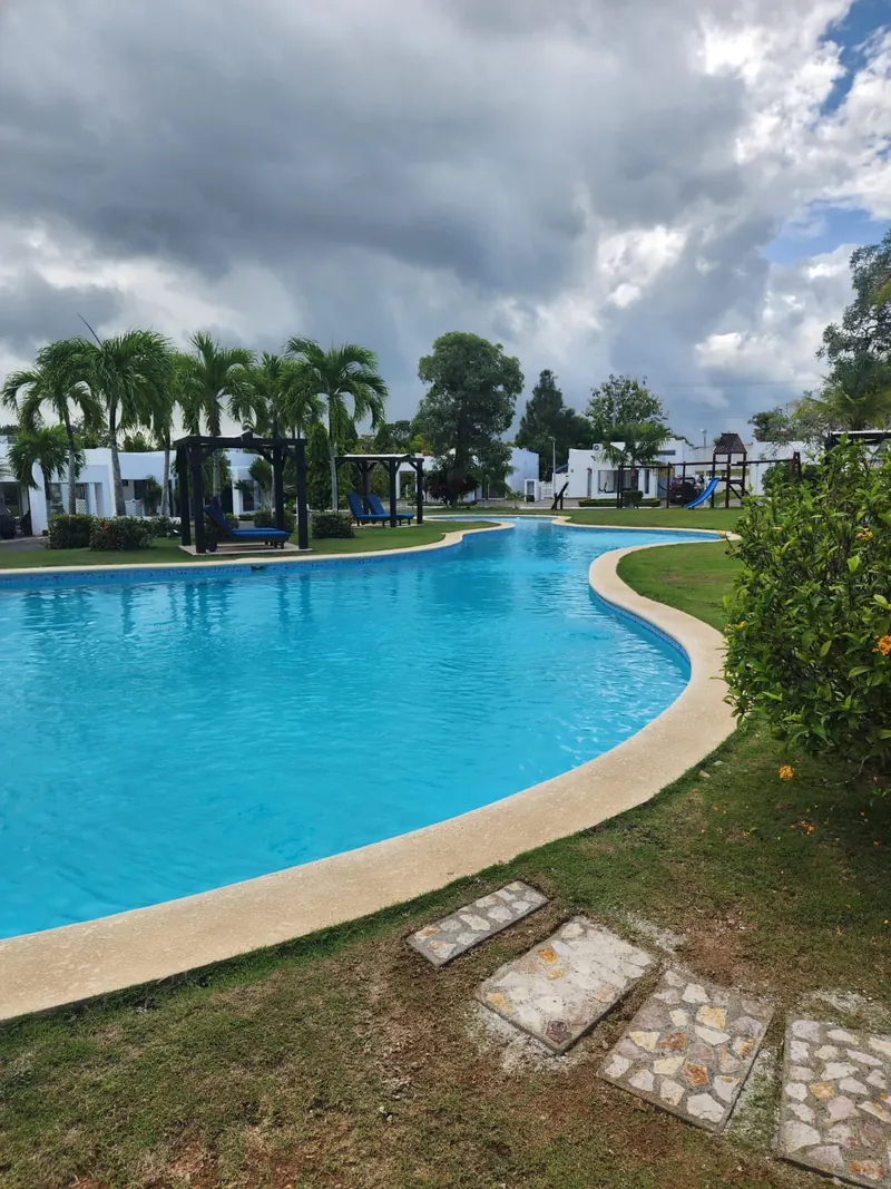 Piscina principal con palmeras y camastros