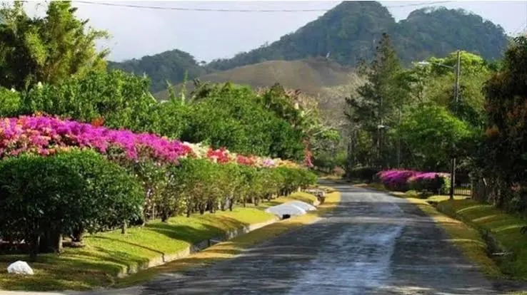 Calle con flores en El Valle de Antón, entre montañas